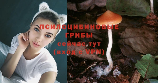 мескалин Баксан